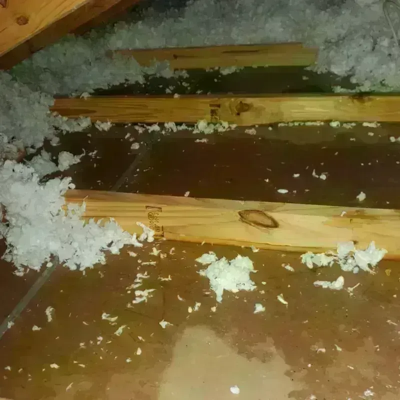 Attic Water Damage in Cumming, GA