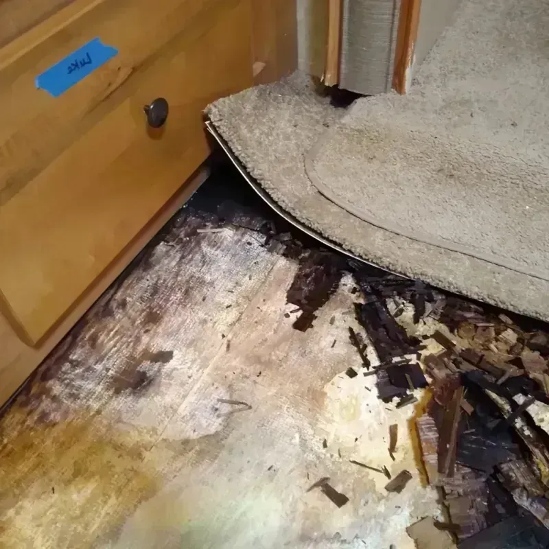 Wood Floor Water Damage in Cumming, GA